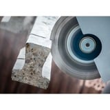 Bosch 2608900663 lama circolare 23 cm 1 pz Diamante policristallino (PCD), Cemento, Pietra, 23 cm, 2,22 cm, 5500 Giri/min, Bosch