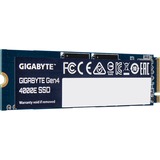 GIGABYTE G440E250G, Disco a stato solido 