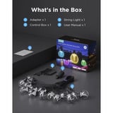 Govee Catene luminose per esterni con lampade trasparenti, Lichterkette 