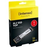 Intenso Top M.2 1000 GB Serial ATA III 3D NAND, Disco a stato solido 1000 GB, M.2, 520 MB/s