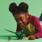 LEGO 71829, Giochi di costruzione 
