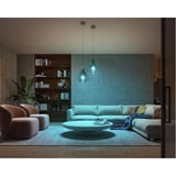 Philips Hue 929002468406, Lampada a LED 