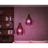 Philips Hue White Ambiance Set di avvio: Lampadina E27 A60 Confezione doppia + Dimmer, Lampada a LED 