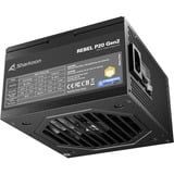 Sharkoon Rebel P20 Gen2 1000, Alimentatore PC Nero