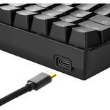 Sharkoon SGK50 S4 tastiera USB QWERTZ Tedesco Nero, Tastiera da gioco Nero, 60%, USB, QWERTZ, LED RGB, Nero