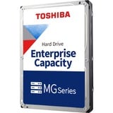 Toshiba MG10ACA20TE, Hard-disk 