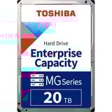 Toshiba MG10 20 TB, Hard-disk 