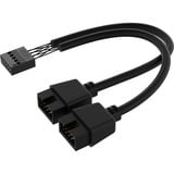 Corsair CW-9061011-WW, Visualizzazione Nero