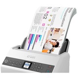 Epson WorkForce DS-730N grigio, 215,9 x 6096 mm, 600 x 600 DPI, 30 bit, 24 bit, 10 bit, 8 bit