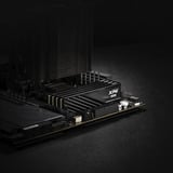 ADATA AX5U6000C3616G-SLABBK, Memoria Nero