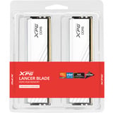 ADATA DIMM 64 GB DDR5-6000 (2x 32 GB) Kit Dual, Memoria bianco