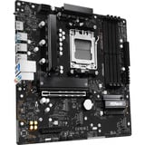 ASRock A620AM PRO-A, Scheda madre 