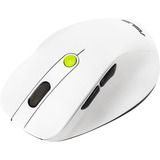 ASUS MD105, Mouse bianco/Verde