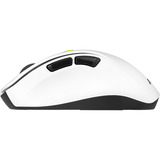 ASUS MD105, Mouse bianco/Verde