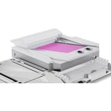 Alphacool Apex Monoblock X870 AORUS ELITE WIFI7 ICE, Dissipatore di calore bianco