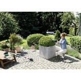 Bosch EasyShear Set, 0600833303, Rifilasiepi verde/Nero