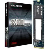 GIGABYTE G3NVMEV2256G, Disco a stato solido 