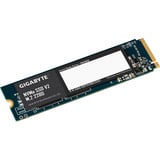 GIGABYTE G3NVMEV2256G, Disco a stato solido 