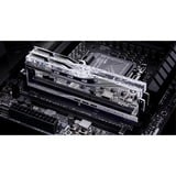 G.Skill F5-6400J3039G16GX2-TR5S, Memoria argento