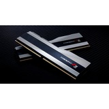G.Skill F5-8000J4048F24GX2-T, Memoria argento