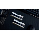 G.Skill F5-8000J4048F24GX2-T, Memoria argento