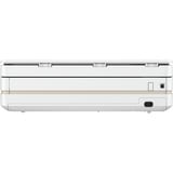 HP 714L8B#629 bianco