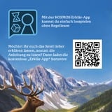 KOSMOS Cascadia Carta da gioco, Giochi di società Carta da gioco, 10 anno/i, 30 min