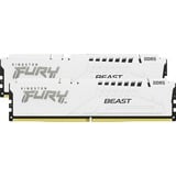 Kingston FURY KF556C36BWEK2-32, Memoria bianco