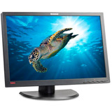 Lenovo ThinkVision LT2452P Ricondizionato, Monitor LED Nero