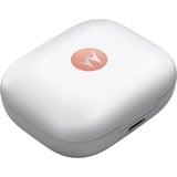 Motorola moto buds, Headset Coral