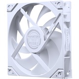 Phanteks PH-F140M25R_G2_DWT01_3P, Ventola bianco