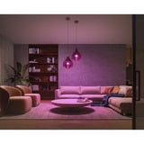 Philips Hue White & Color Ambiance Starter-Set: E27 Lampadina Smart A60 Confezione da Tre, Lampada a LED 