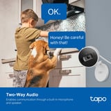 TP-Link Tapo C125, Telecamera di sorveglianza bianco/Nero