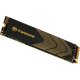 Transcend 240S 500 GB Nero/Oro