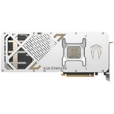 ZOTAC ZT-B50900Q-10P, Scheda grafica 