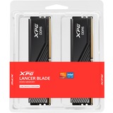 ADATA AX5U6000C3016G-DTLABBK Nero