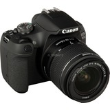Canon EOS 2000D + EF-S 18-55mm f/3.5-5.6 III Kit fotocamere SLR 24,1 MP CMOS 6000 x 4000 Pixel Nero, Fotocamera digitale Nero, 24,1 MP, 6000 x 4000 Pixel, CMOS, Full HD, Nero