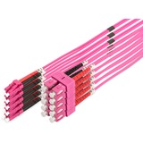 Digitus Cavo patch in fibra ottica, duplex, connettore LC > SC, multimode OM4 lilla