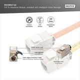 Digitus DN-93617-12, Modulo di Keystone argento