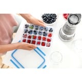 Emsa CLIP & CLOSE Rettangolare Scatola Traslucido 1 pz, Casella trasparente/Blu, Scatola, Rettangolare, Traslucido, 1 pz
