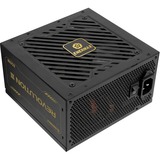 Enermax ERV850G-AHG-MAC, Alimentatore PC 