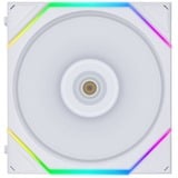 Lian Li 12TL3W, Ventola bianco