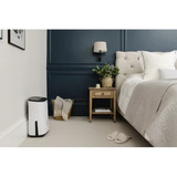 Meaco Dry Arete One 10L Deumidificatore a compressore e purificatore d'aria bianco/Beige