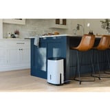 Meaco MeacoDryArete1-10L, Deumidificatore bianco/Beige