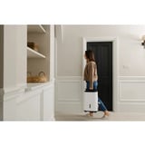 Meaco MeacoDryArete1-10L, Deumidificatore bianco/Beige