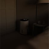 Meaco MecoDry Arete Two 12L Deumidificatore e Purificatore bianco/Nero