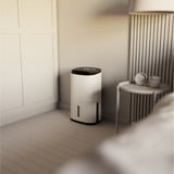 Meaco MecoDry Arete Two 12L Deumidificatore e Purificatore bianco/Nero
