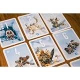 Pegasus Pixies, Gioco di carte 