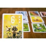 Pegasus Pixies, Gioco di carte 