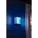 Philips Hue Applique larga White & Color Ambiance Impress Outdoor, Luce LED Nero
